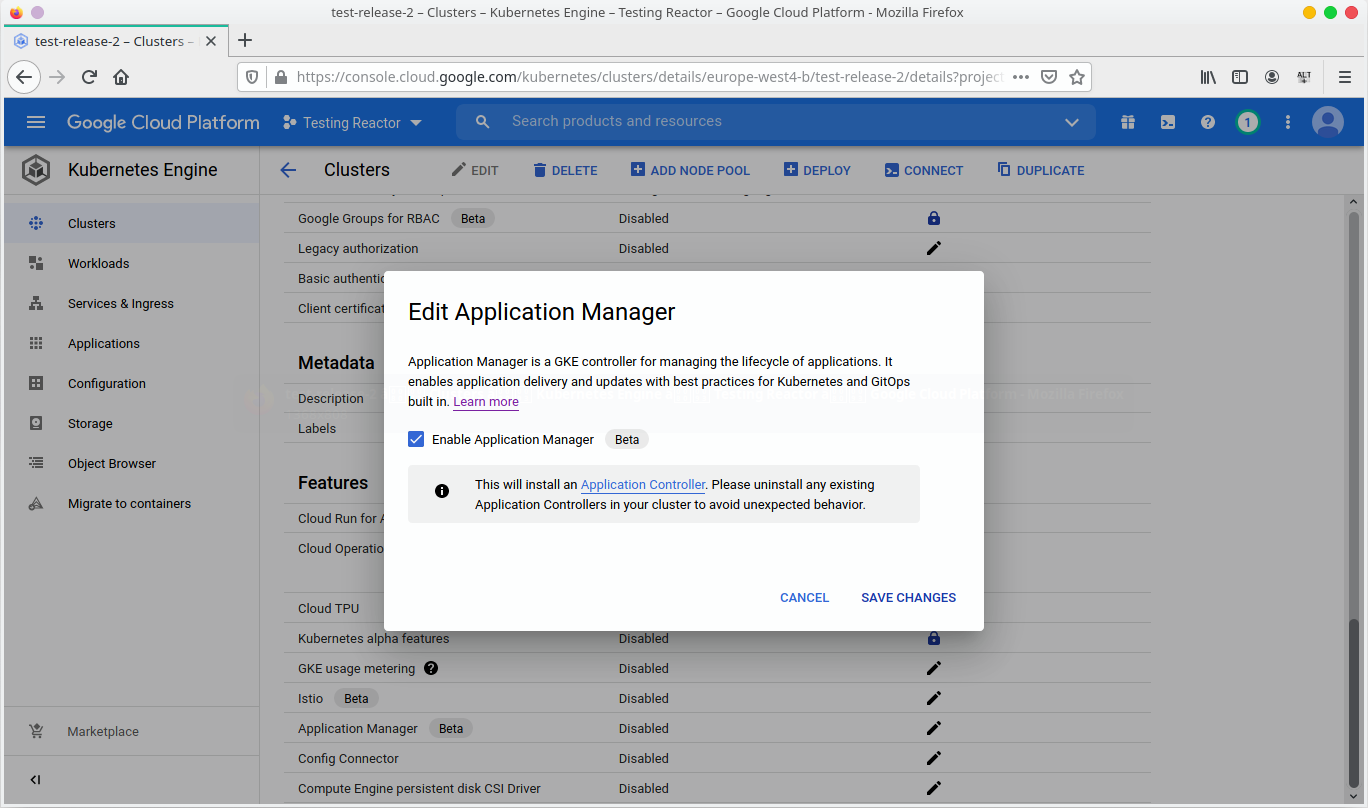Enable the Application Manager on Google Cloud