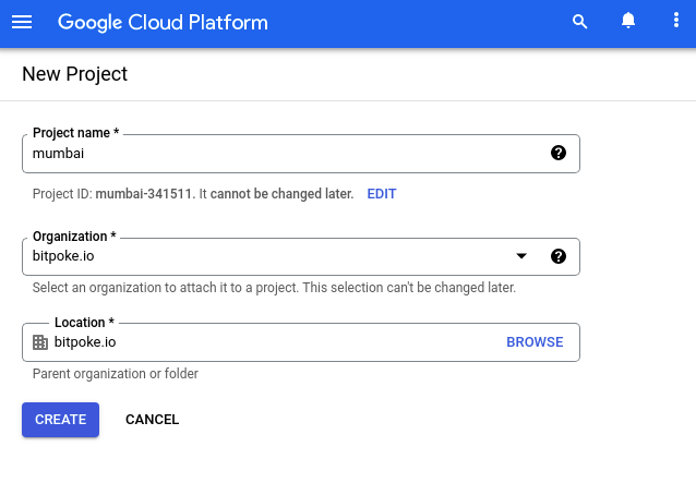 Fill in project data